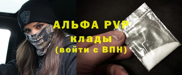стаф Горнозаводск