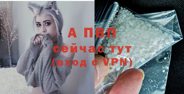 стаф Горнозаводск