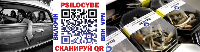 Псилоцибиновые грибы ЛСД  закладка  Западная Двина 
